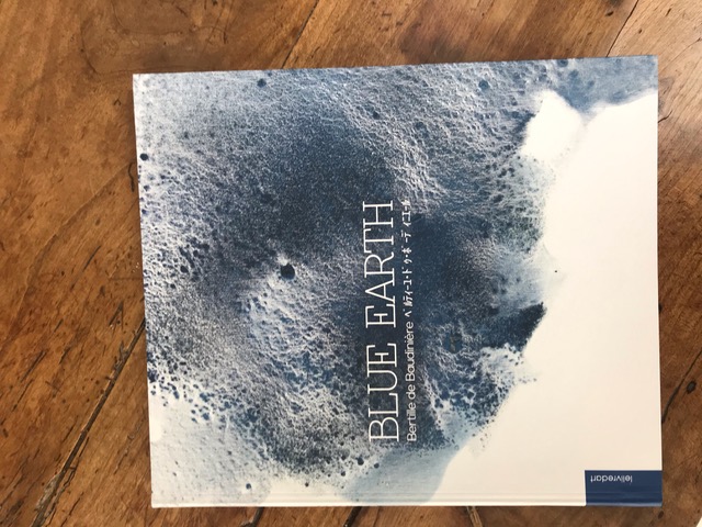 Couverture du livre - Blue Earth 2020
