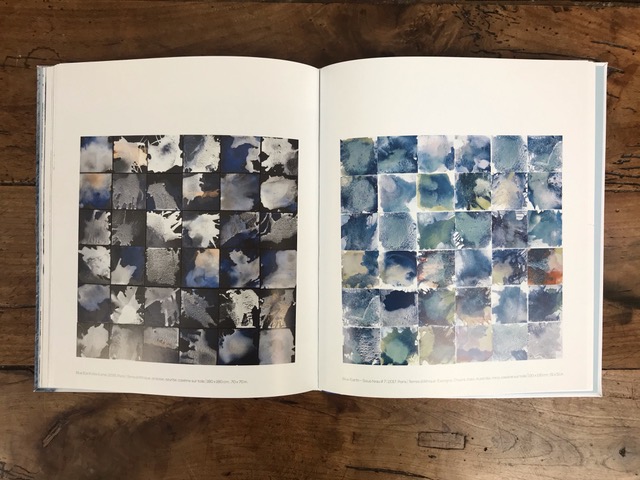 Internal pages of the book - Blue Earth 2020