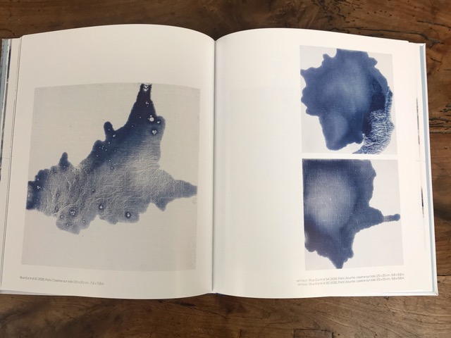 Internal pages of the book - Blue Earth 2020