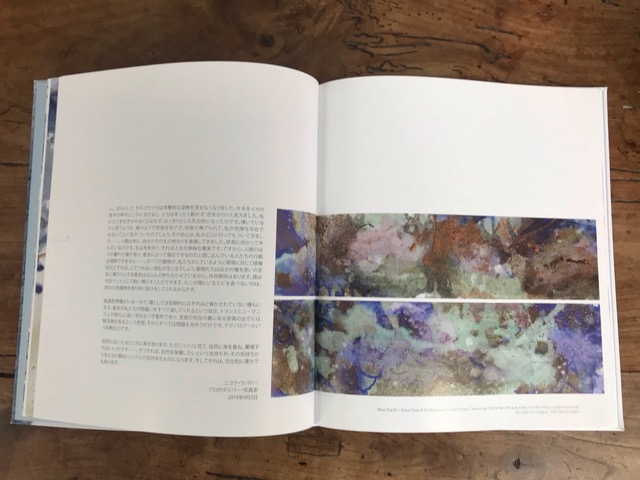 Internal pages of the book - Blue Earth 2020